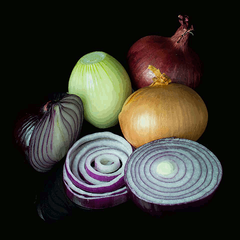 Onion.gif